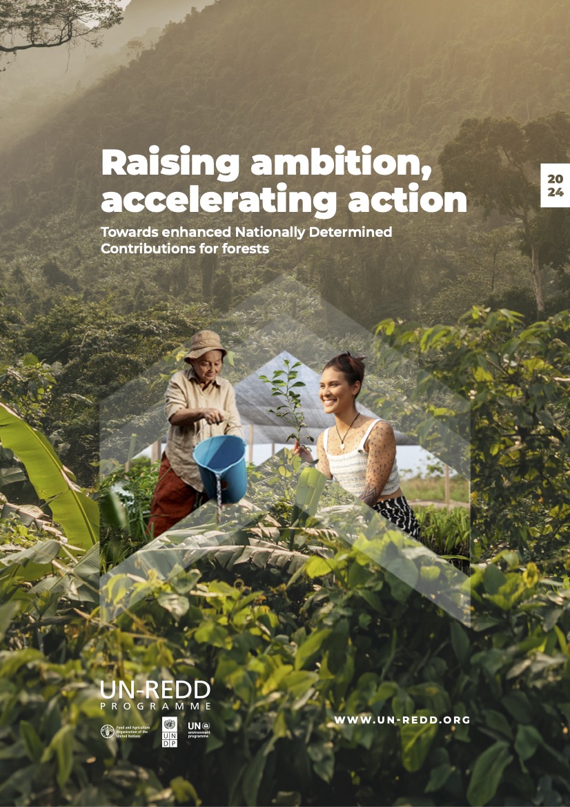 Report cover of Raising ambition, accelerating action: towards enhanced Nationally Determined Contributions for forests  