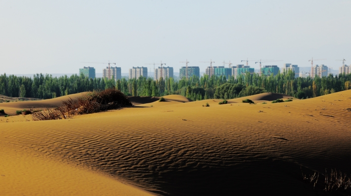 View of a shelter forest fending off the encroaching desert in northwest Chinas Xinjiang Uygur Autonomous Region