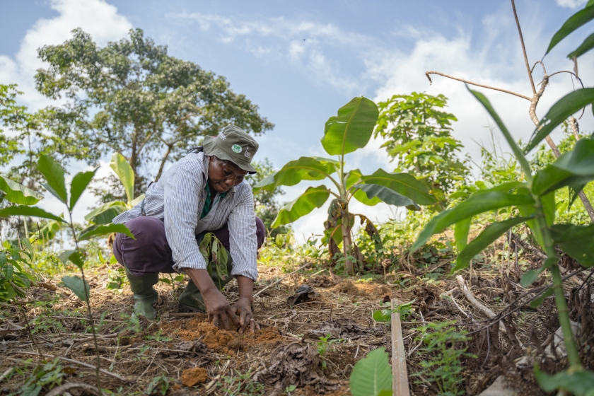 A woman planting crops