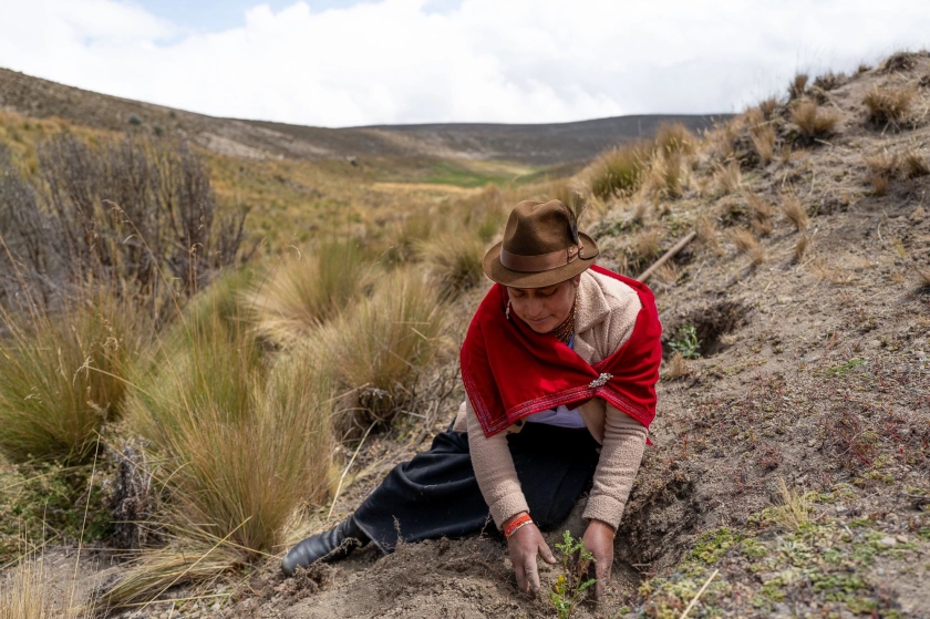 A woman planting a seedling in the dirt, mountain peaks in the background