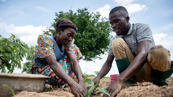 Two people planting a tree.