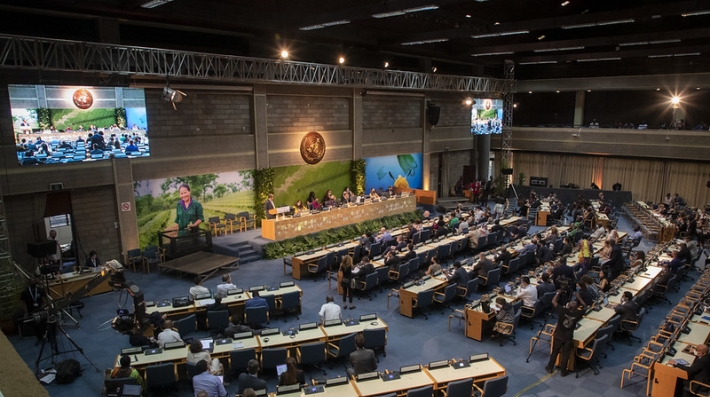 UN Environment Assembly