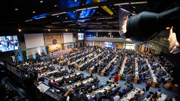 People in a conference hall at UNEA-6