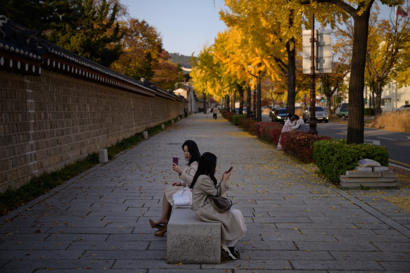 Two women on their phones sitting on a bench 