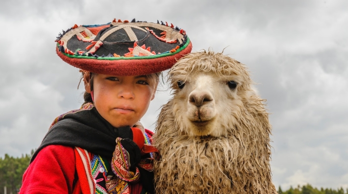 A young person with an alpaca.