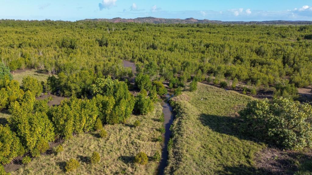 Mangrove restoration in the Xai-Xai region of Mozambique is affected by mangrove loss due to misuse and natural disasters. A GEF mangrove restoration program has led to many positive changes towards adapting to the changing climate and risks.