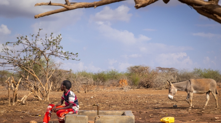 Drought in Kenya