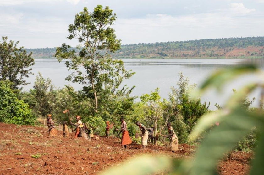 People tilling a field