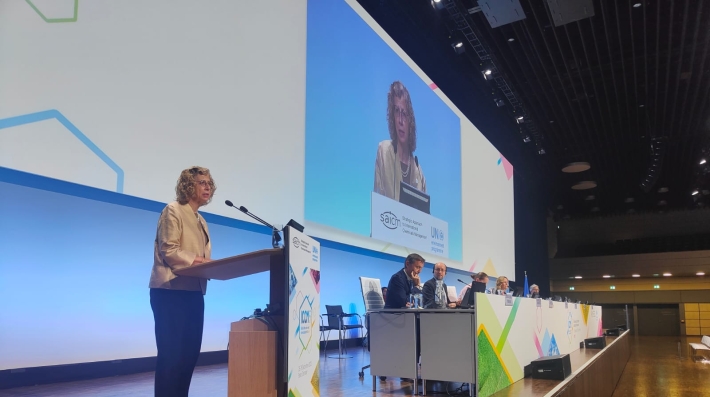 Inger Andersen delivers a speech at ICCM5 in Bonn