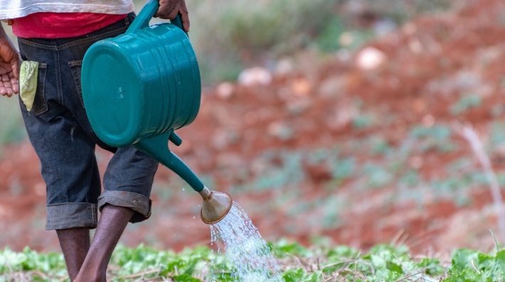 A farmer in Jamaica