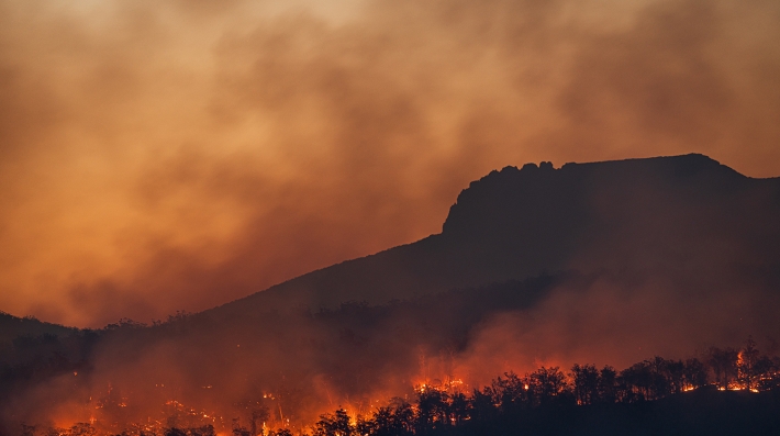 Efeitos das Mudanças Climáticas