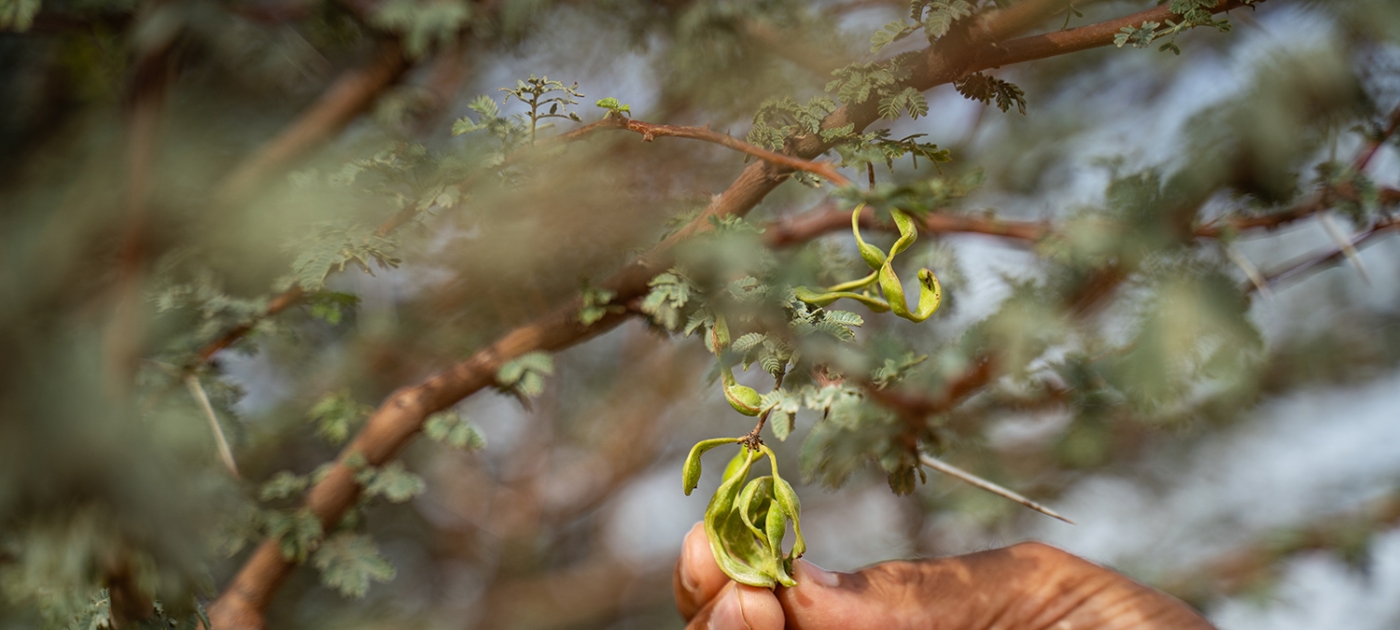 Photo by Duncan Moore/UNEP