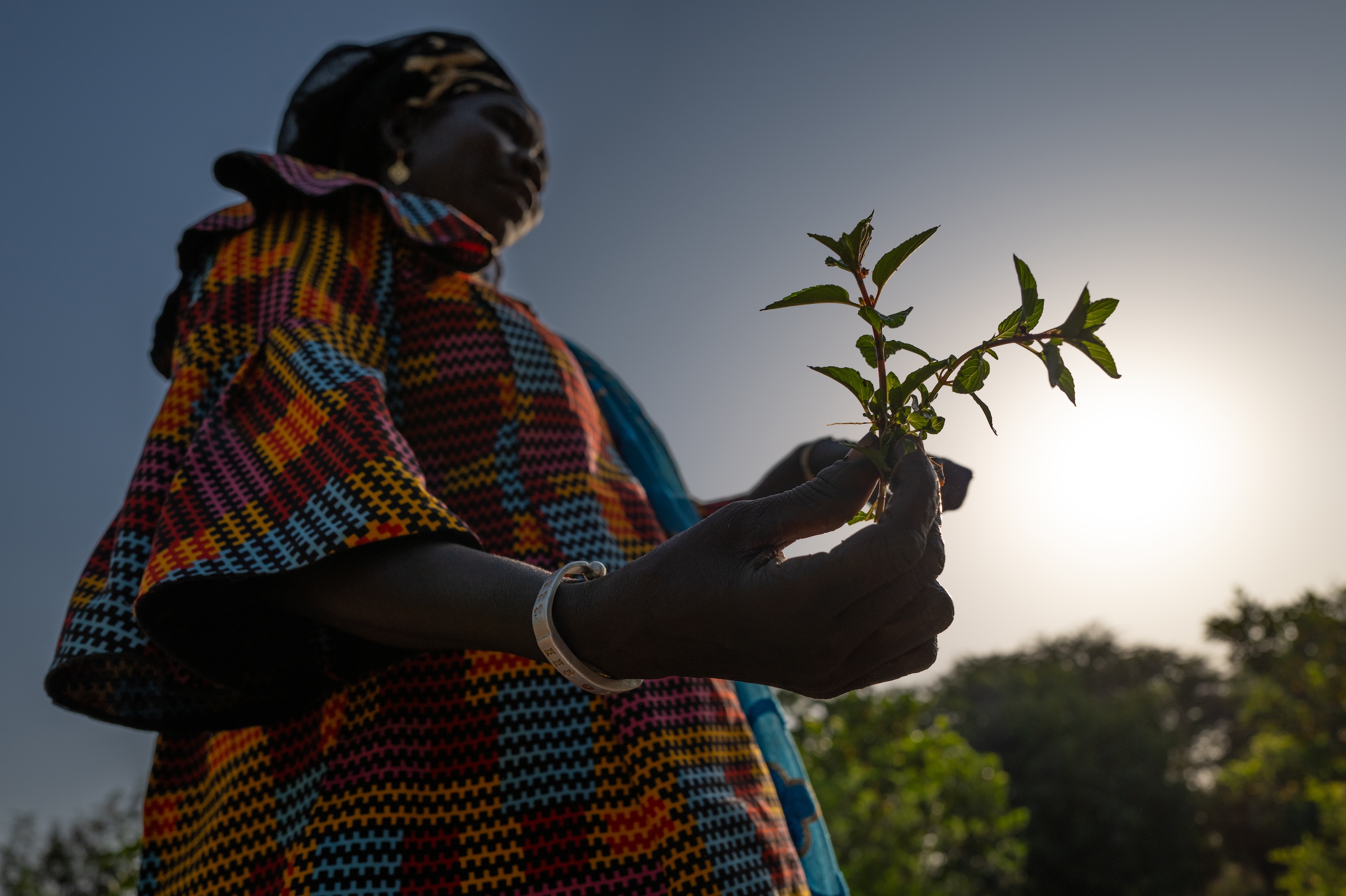 Woman holding a plant