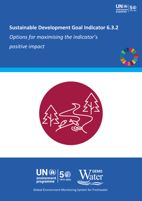 Sustainable Development Goal Indicator 6.3.2: Options for Maximising the Indicator's Positive Impact